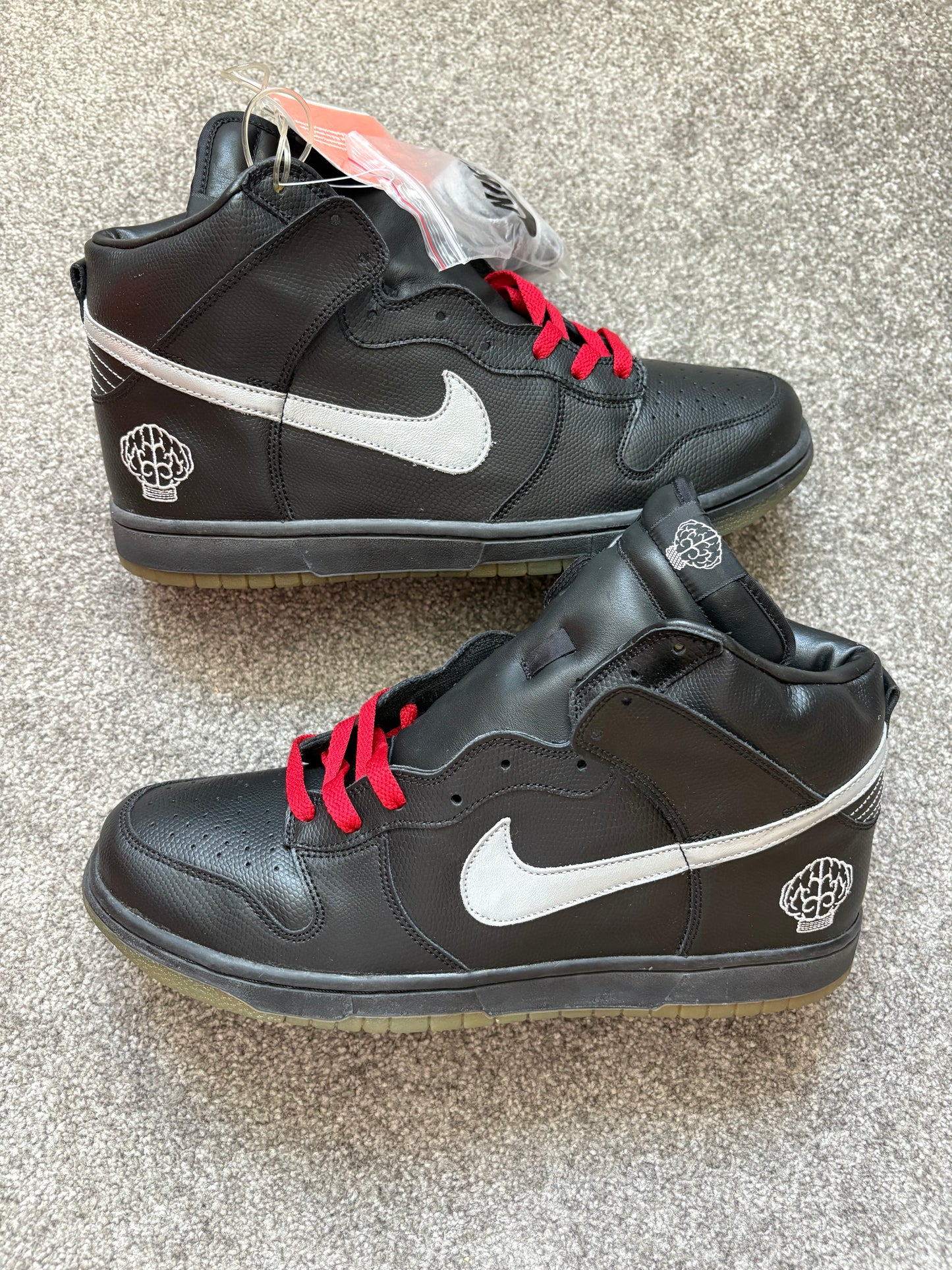Nike NERD 2003 Dunks