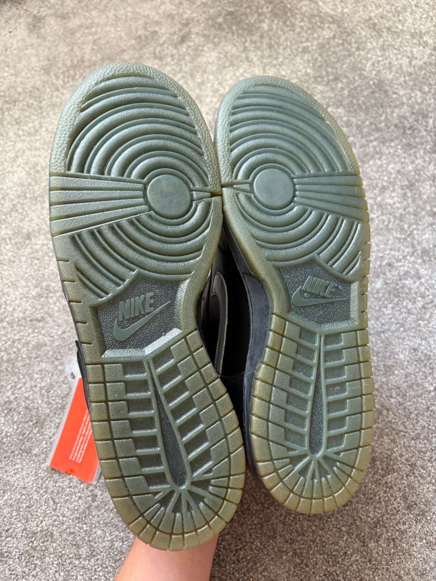 Nike NERD 2003 Dunks