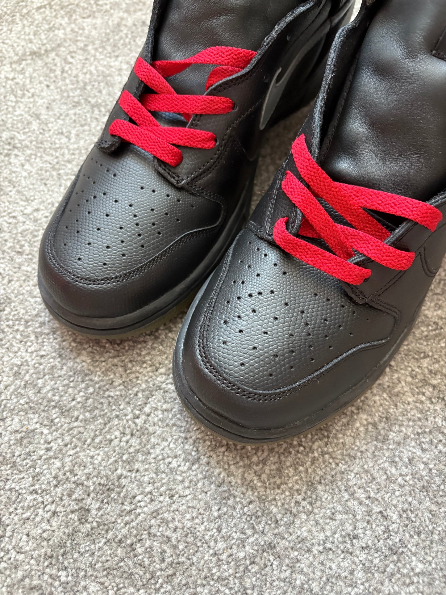 Nike NERD 2003 Dunks