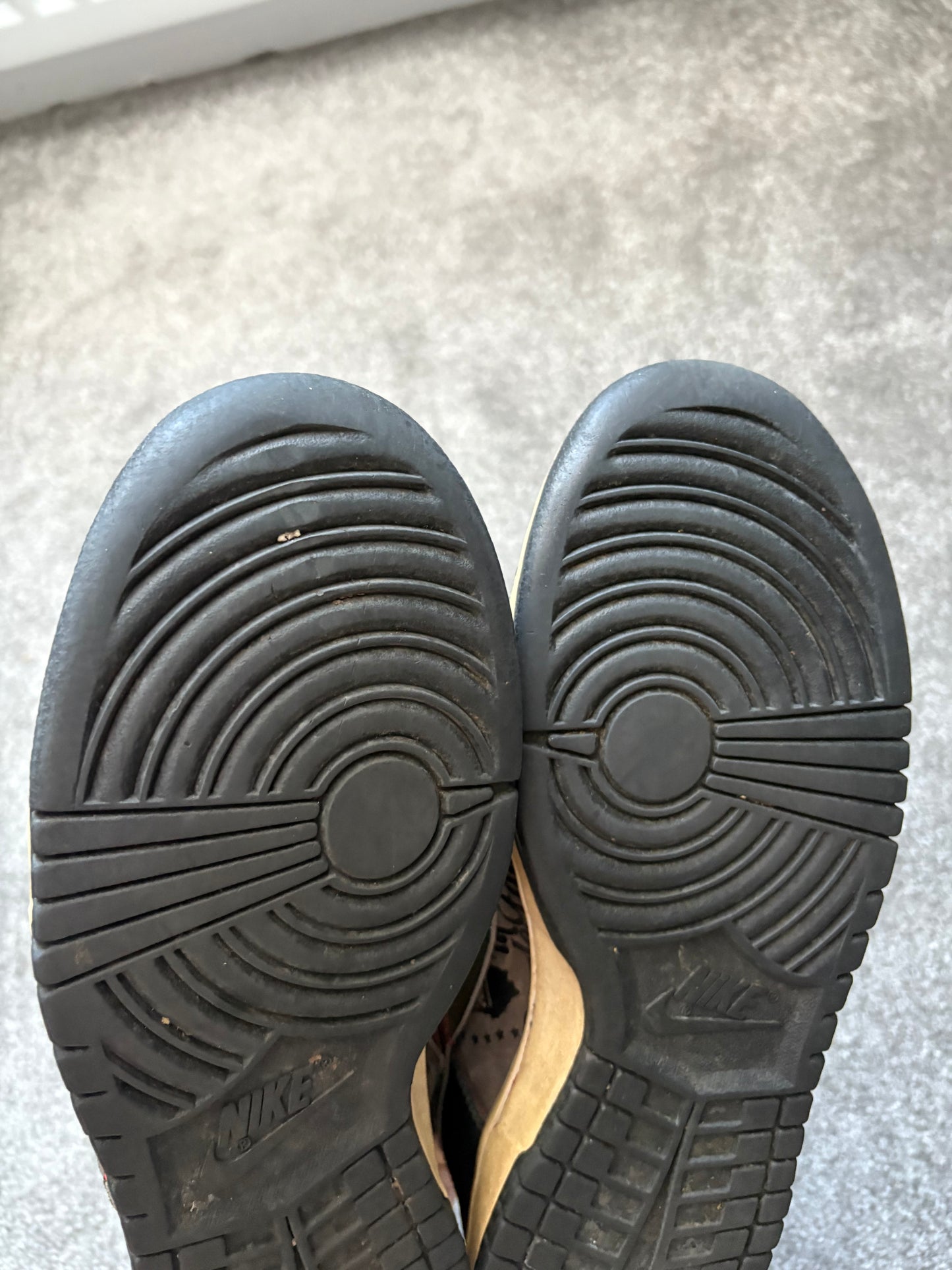 Nike SB SBTG 2006 Dunks