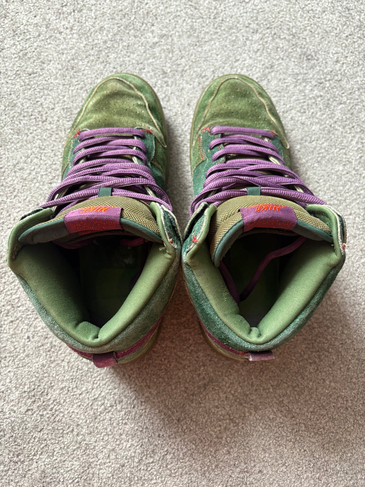 Nike SB Skunk 2009 Dunks