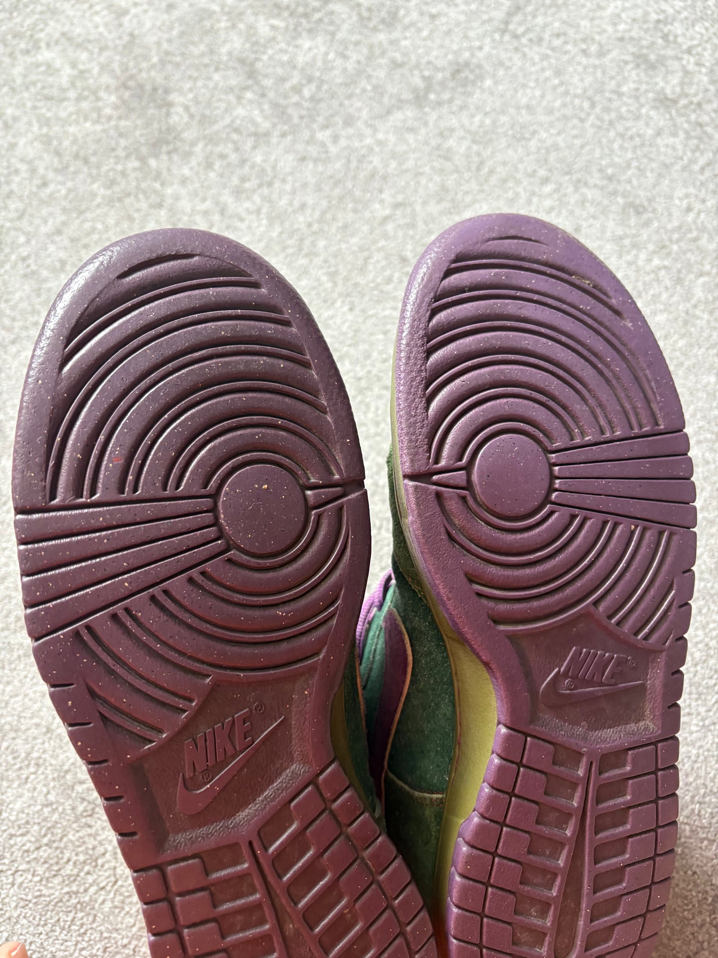Nike SB Skunk 2009 Dunks