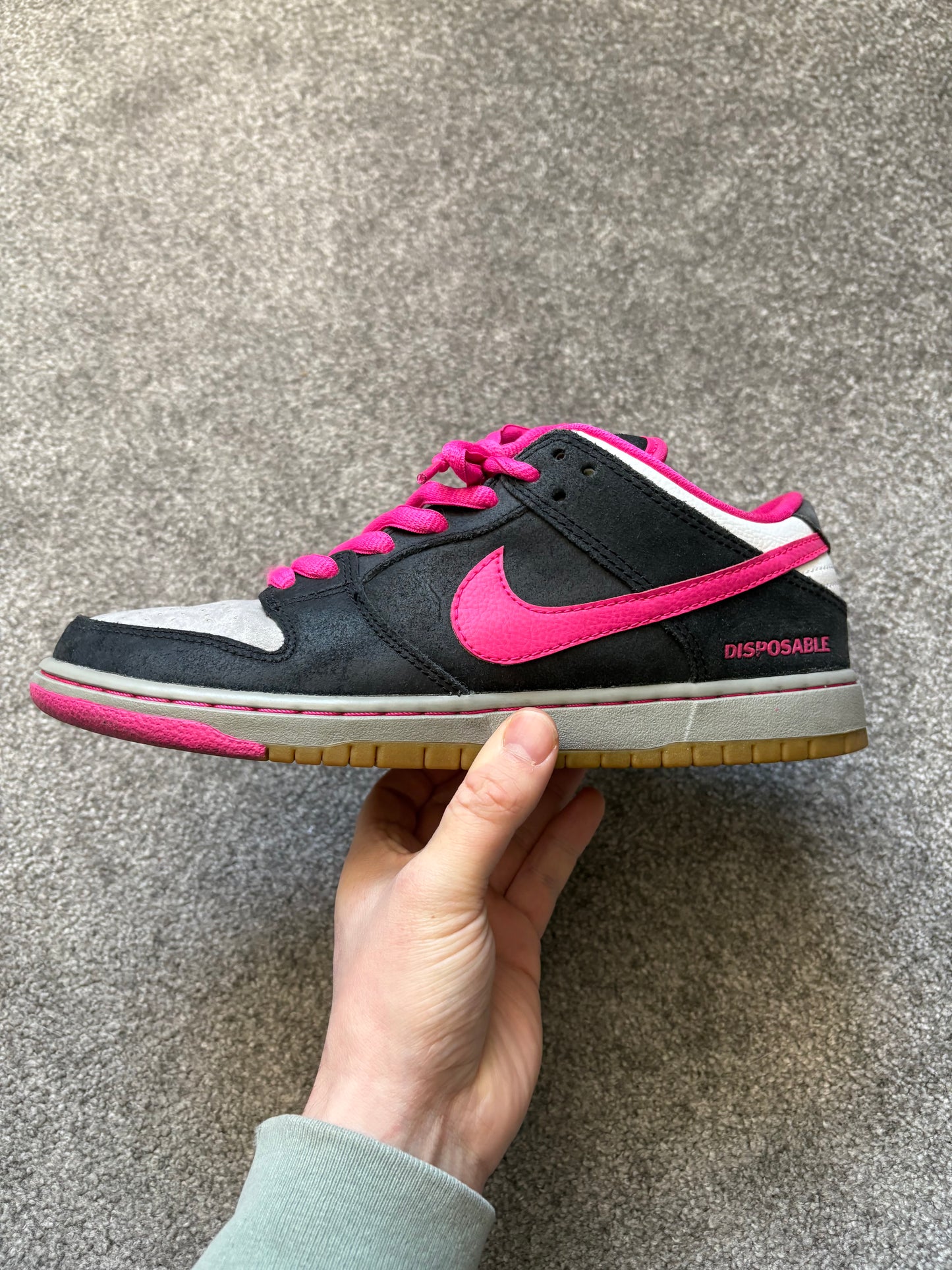 Nike SB Disposable 2014 Dunks