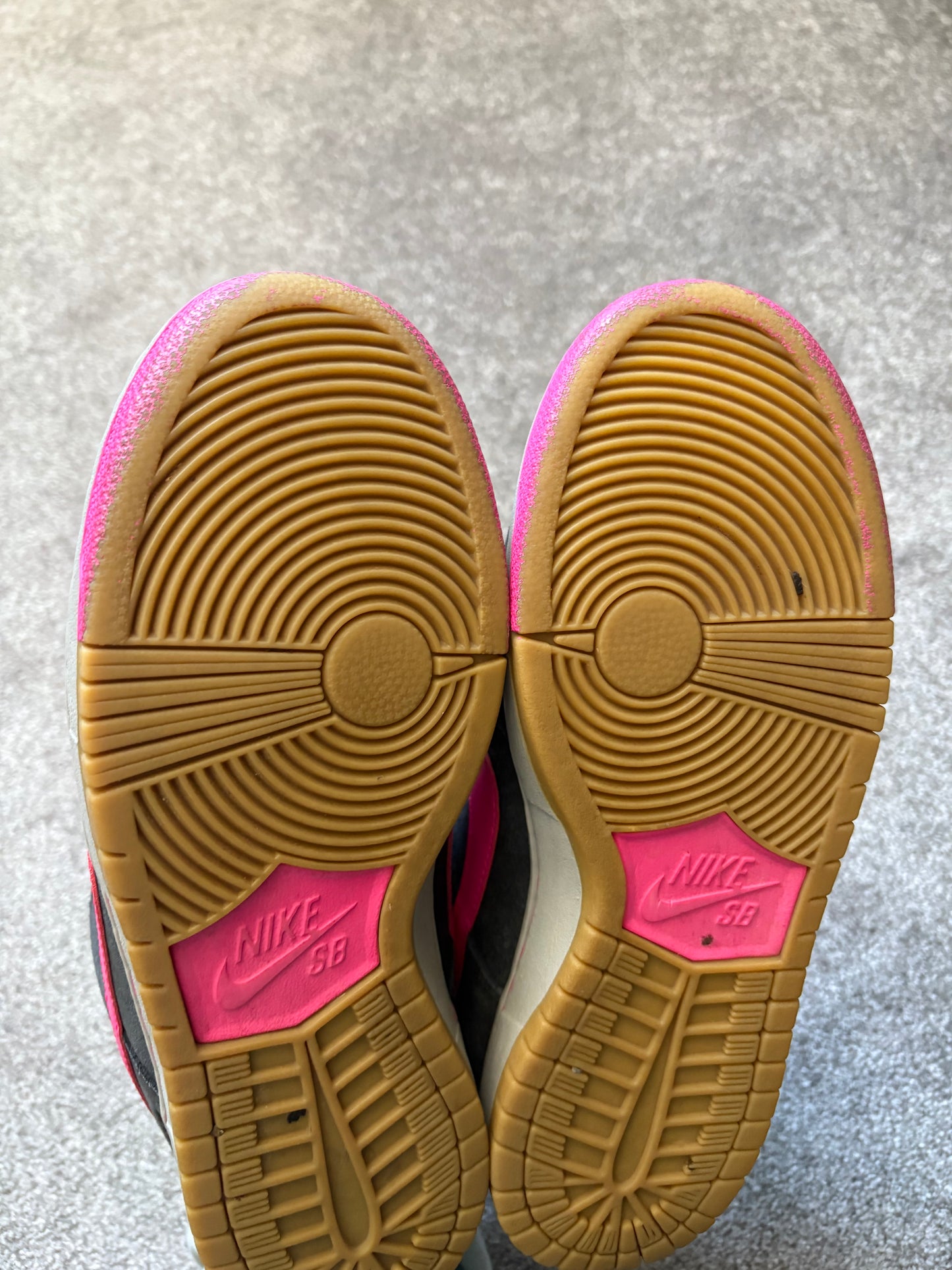 Nike SB Disposable 2014 Dunks