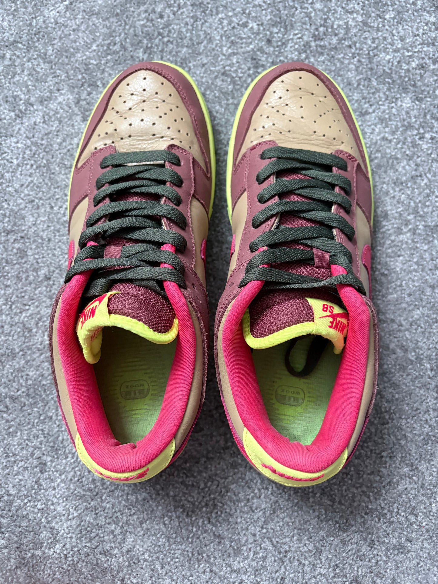 Nike Toxic Robbin 2009 Dunks