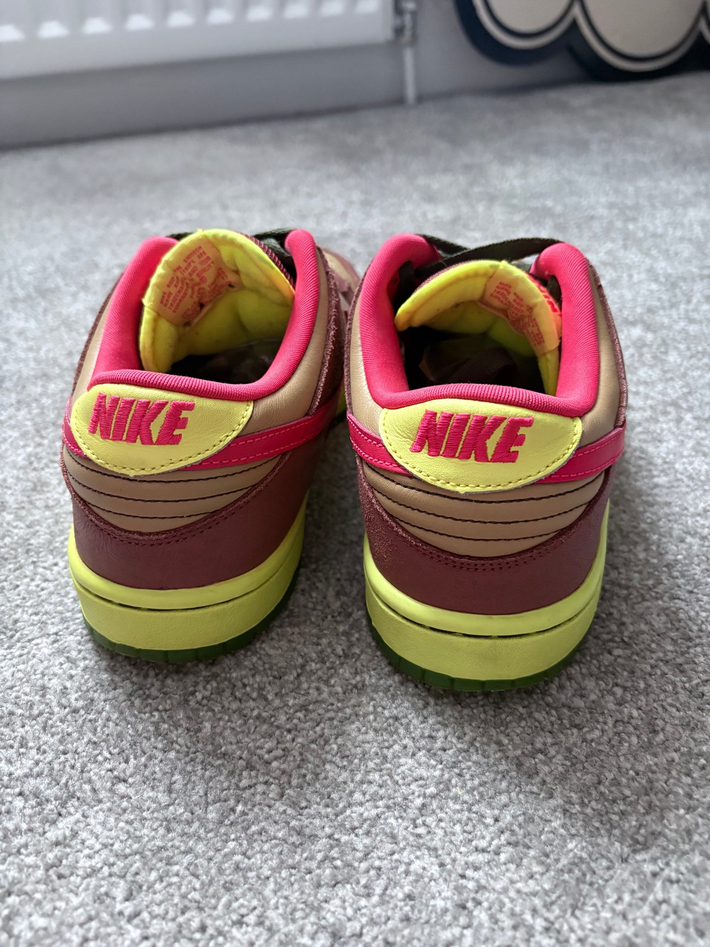 Nike Toxic Robbin 2009 Dunks