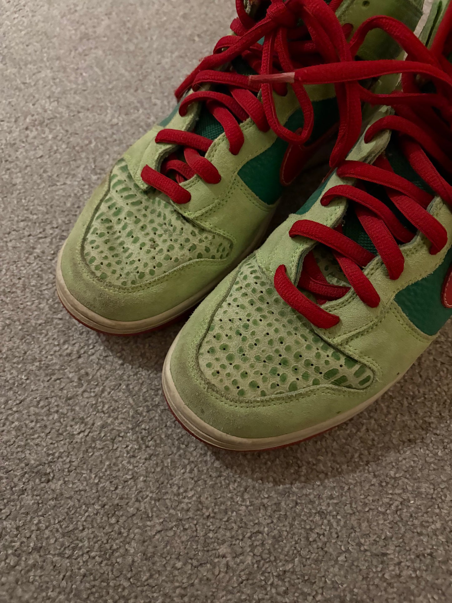 Nike SB Dr Feelgood 2008 Dunks