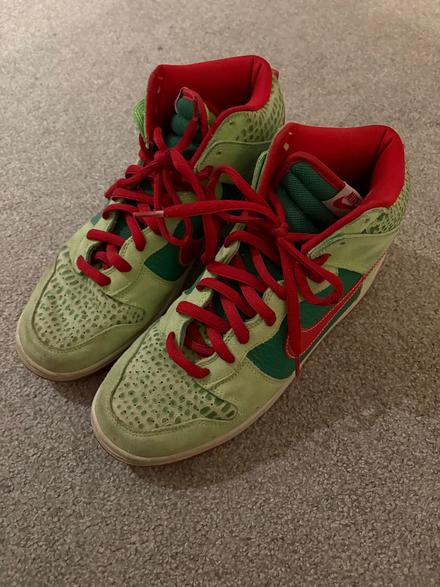 Nike SB Dr Feelgood 2008 Dunks