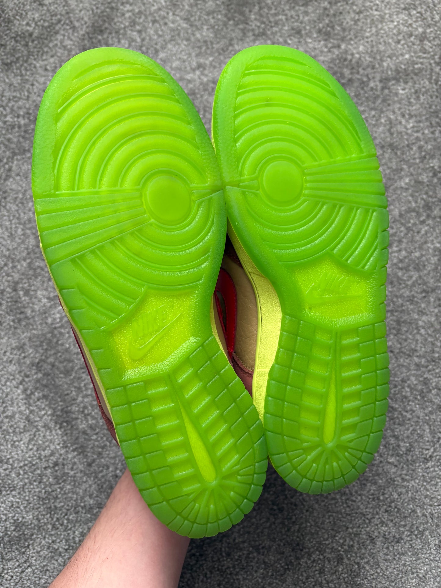 Nike Toxic Sea Robbin 2009 Dunks