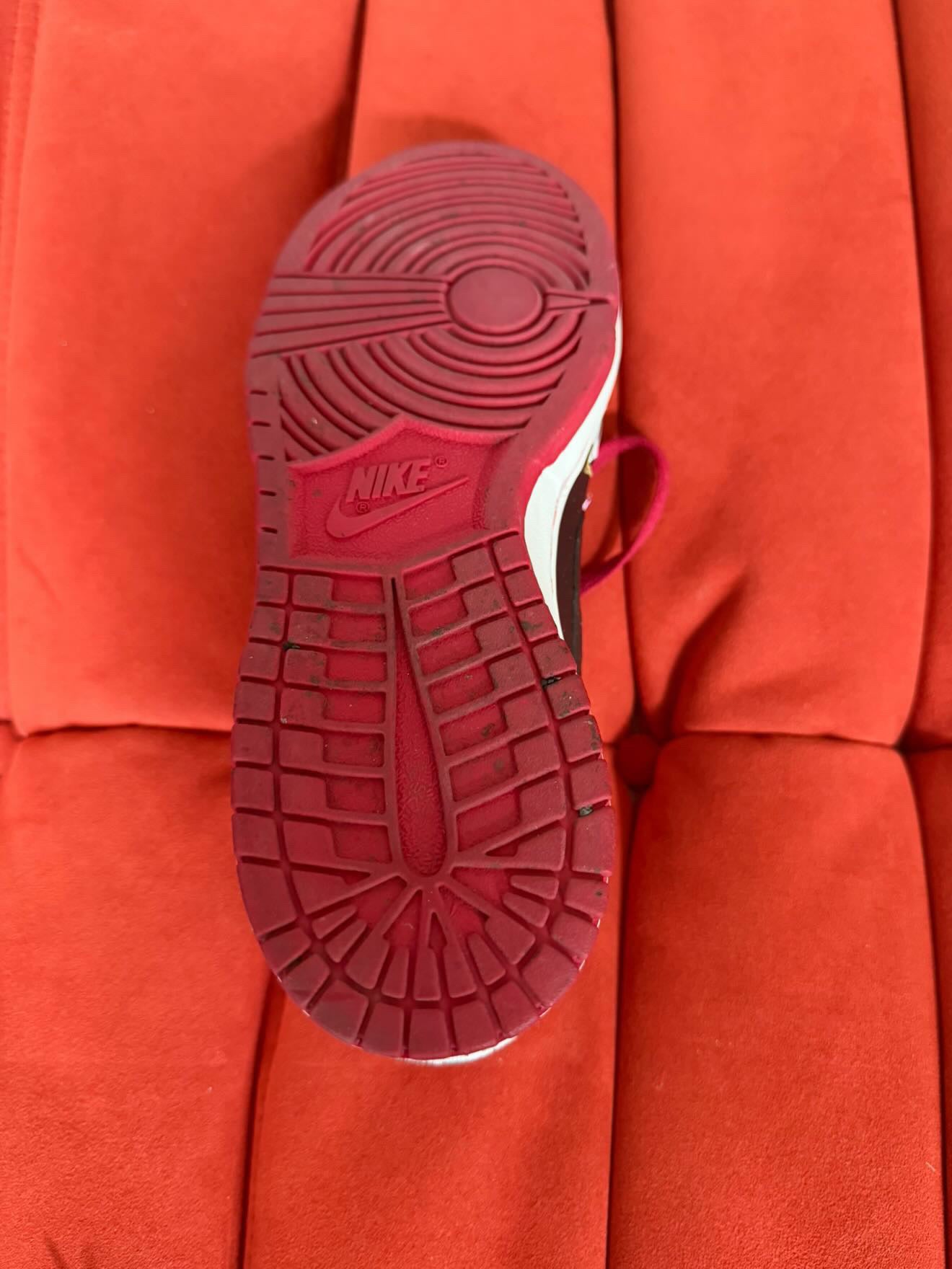 Nike x SBTG Futura Dunks