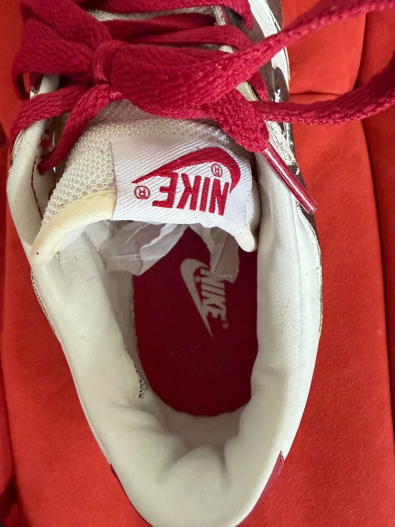 Nike x SBTG Futura Dunks