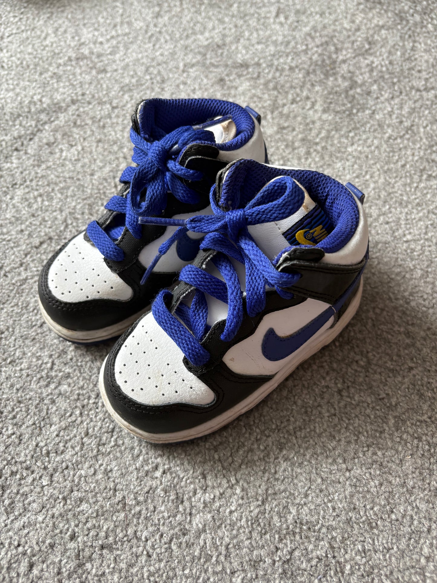 Nike SB Melbourne Gold Rail 2008 Dunks