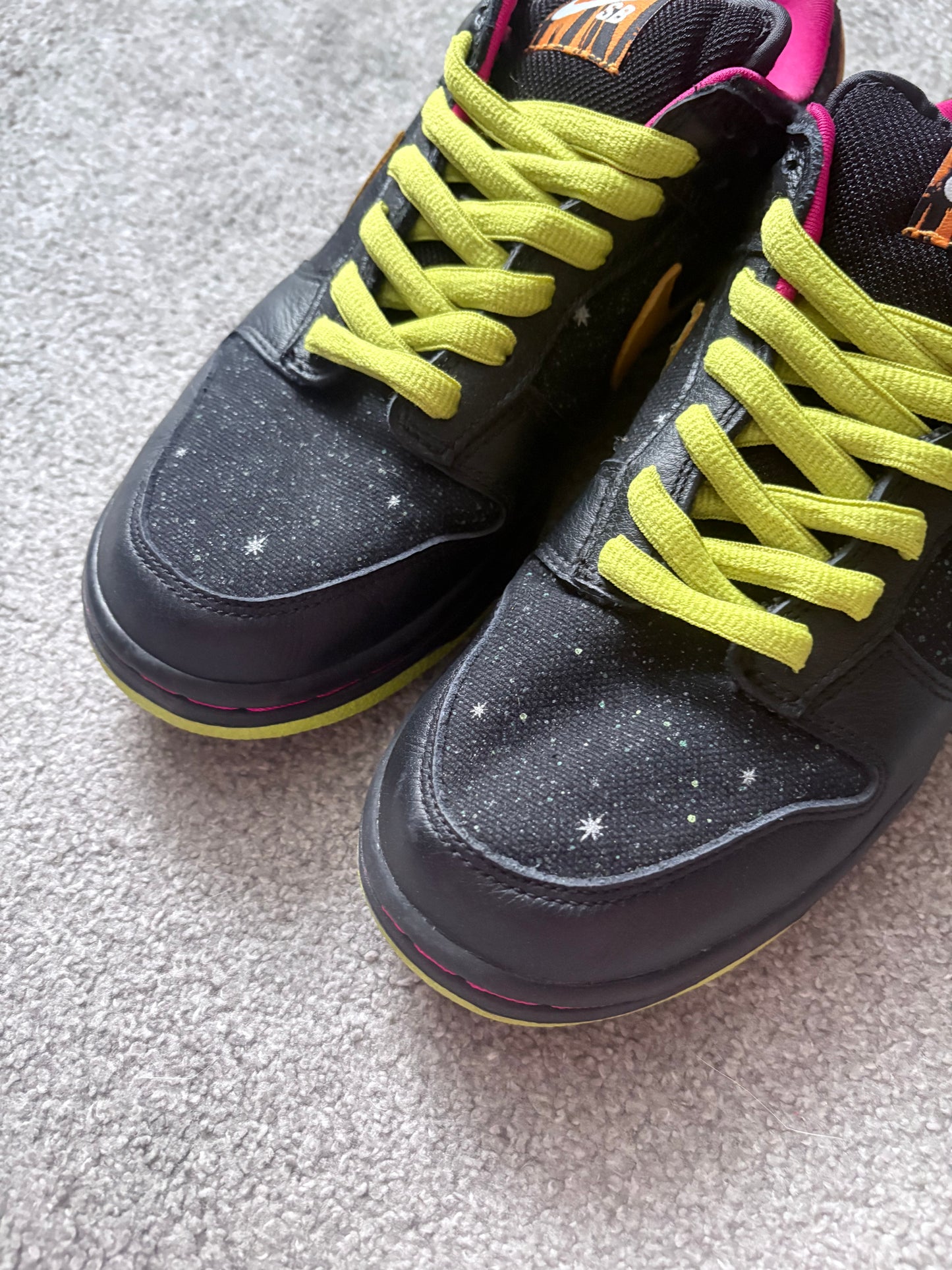 Nike SB Space Tiger 2008 Dunks