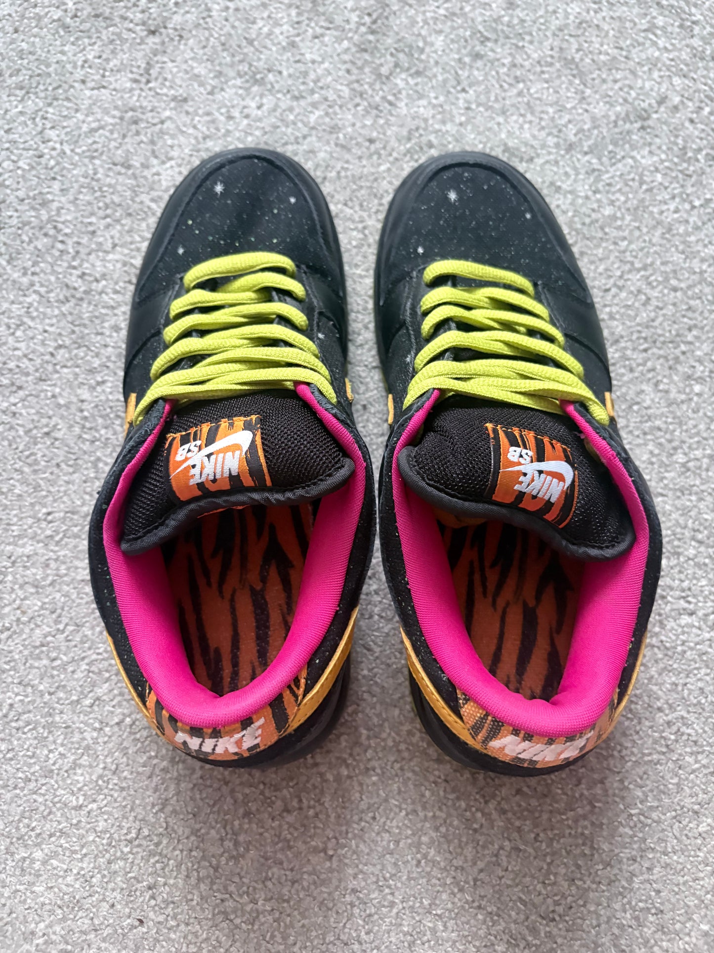 Nike SB Space Tiger 2008 Dunks